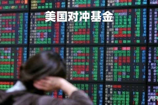 美国对冲基金