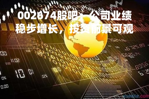 002674股吧：公司业绩稳步增长，投资前景可观