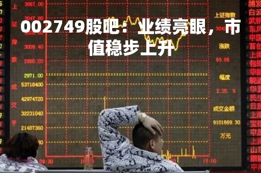 002749股吧：业绩亮眼，市值稳步上升