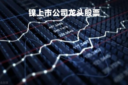 镍上市公司龙头股票