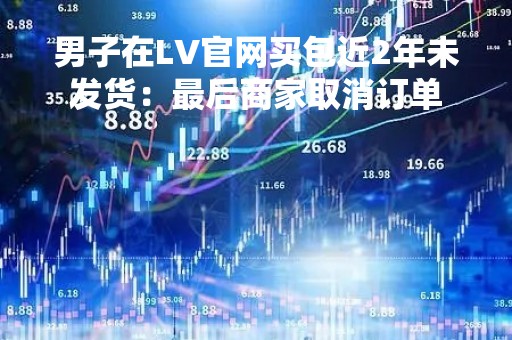 男子在LV官网买包近2年未发货：最后商家取消订单