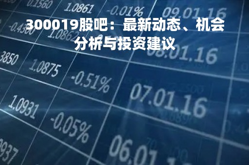 300019股吧：最新动态、机会分析与投资建议