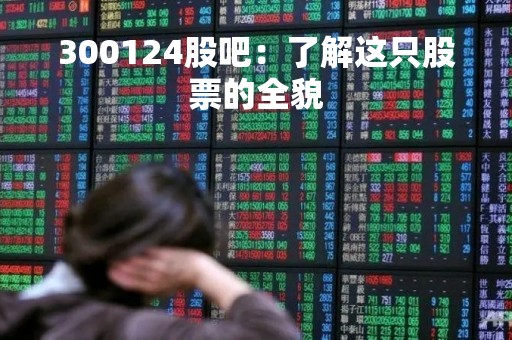 300124股吧：了解这只股票的全貌