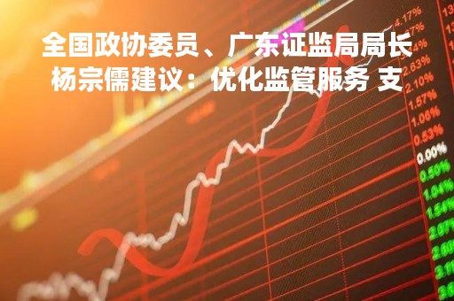 全国政协委员、广东证监局局长杨宗儒建议：优化监管服务 支持民企利用资本市场发展壮大