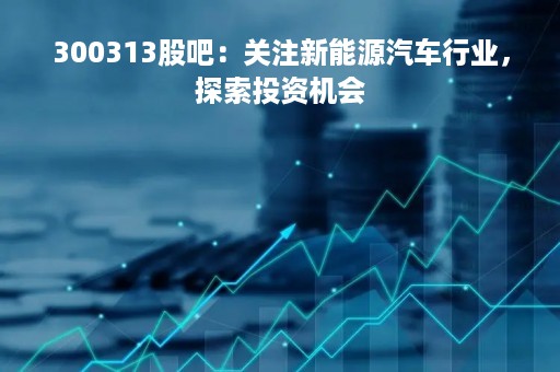 300313股吧：关注新能源汽车行业，探索投资机会