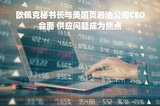 欧佩克秘书长与美国页岩油公司CEO会面 供应问题成为焦点