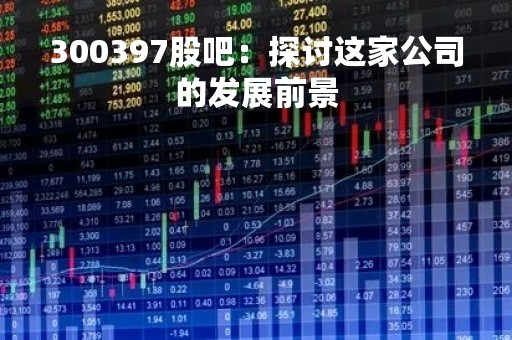 300397股吧：探讨这家公司的发展前景