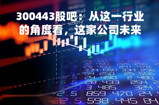 300443股吧：从这一行业的角度看，这家公司未来的发展前景如何？