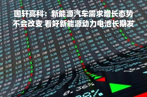 国轩高科：新能源汽车需求增长态势不会改变 看好新能源动力电池长期发展