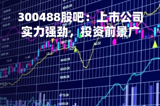 300488股吧：上市公司实力强劲，投资前景广阔