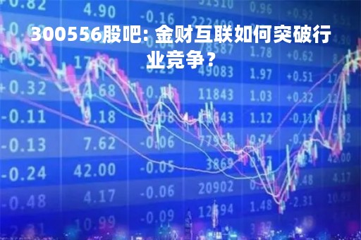 300556股吧: 金财互联如何突破行业竞争？