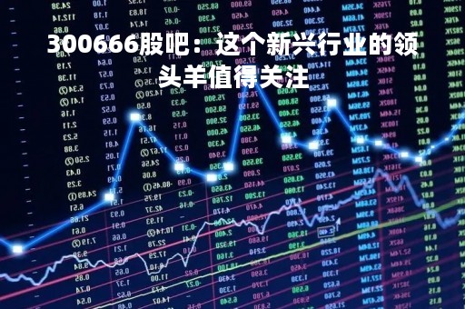 300666股吧：这个新兴行业的领头羊值得关注
