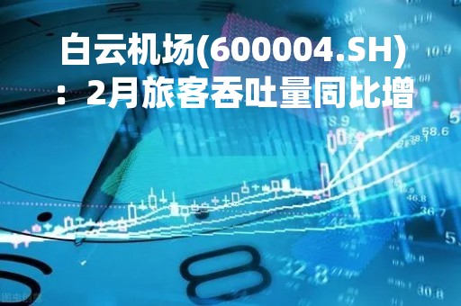 白云机场(600004.SH)：2月旅客吞吐量同比增长41.41%