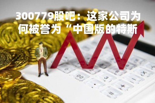 300779股吧：这家公司为何被誉为“中国版的特斯拉”？