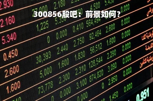 300856股吧：前景如何？