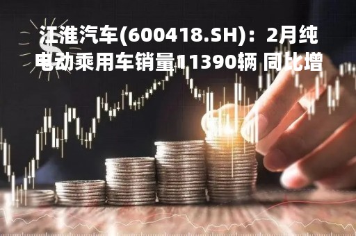 江淮汽车(600418.SH)：2月纯电动乘用车销量11390辆 同比增长11.11%