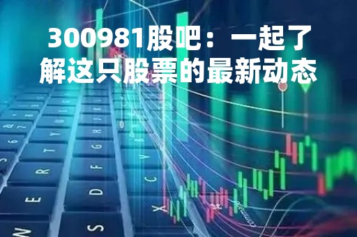 300981股吧：一起了解这只股票的最新动态吧！