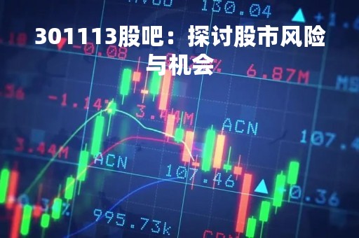 301113股吧：探讨股市风险与机会