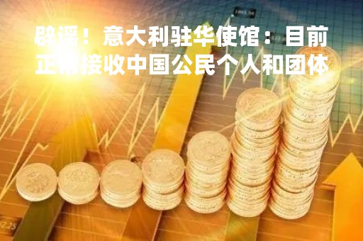 辟谣！意大利驻华使馆：目前正常接收中国公民个人和团体签证申请