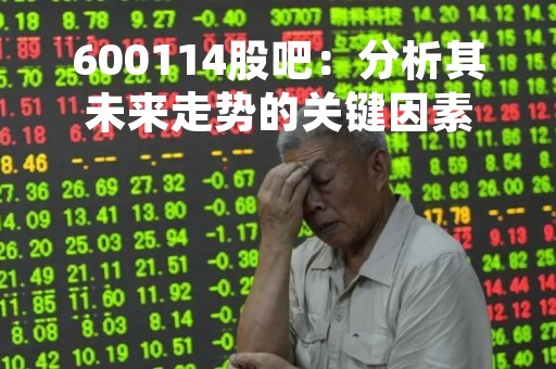 600114股吧：分析其未来走势的关键因素