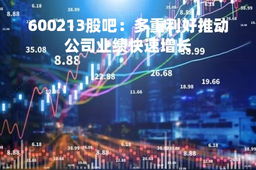 600213股吧：多重利好推动公司业绩快速增长