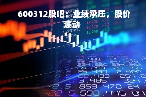  600312股吧：业绩承压，股价波动 