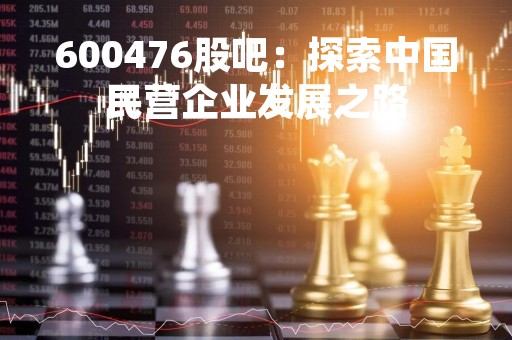 600476股吧：探索中国民营企业发展之路