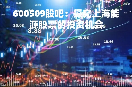600509股吧：探究上海能源股票的投资机会