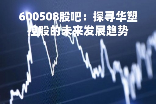 600508股吧：探寻华塑控股的未来发展趋势