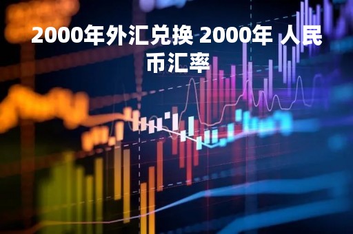 2000年外汇兑换 2000年 人民币汇率