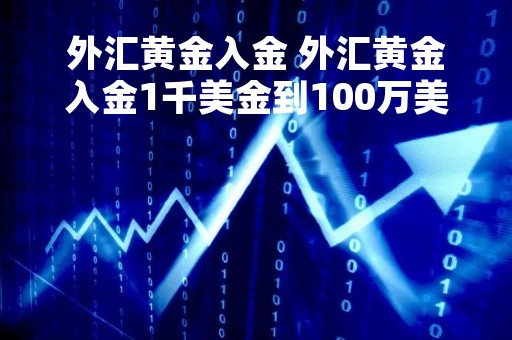 外汇黄金入金 外汇黄金入金1千美金到100万美金