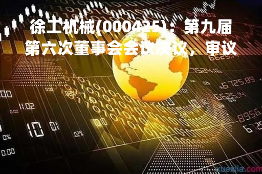 徐工机械(000425)：第九届第六次董事会会议决议，审议2项议案获通过