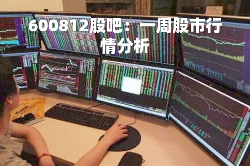 600812股吧：一周股市行情分析