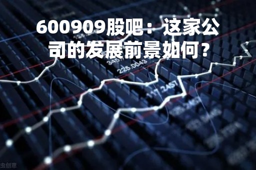 600909股吧：这家公司的发展前景如何？