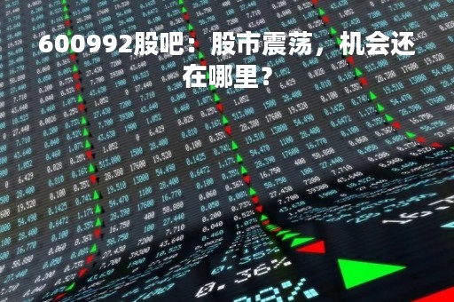600992股吧：股市震荡，机会还在哪里？