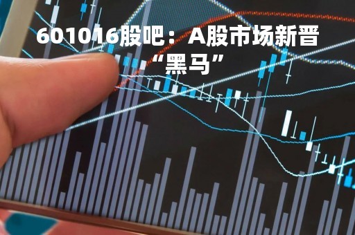 601016股吧：A股市场新晋“黑马”