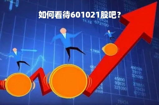 如何看待601021股吧？
