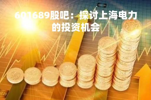 601689股吧：探讨上海电力的投资机会