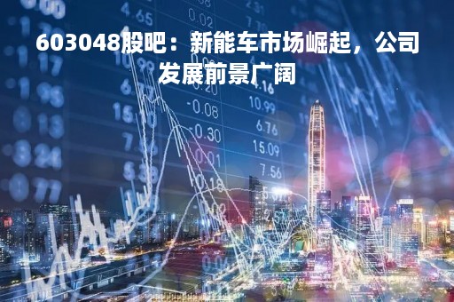 603048股吧：新能车市场崛起，公司发展前景广阔