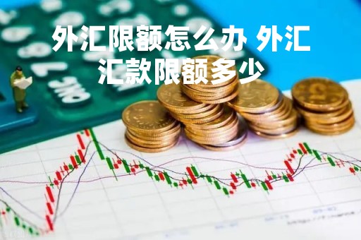 外汇限额怎么办 外汇汇款限额多少