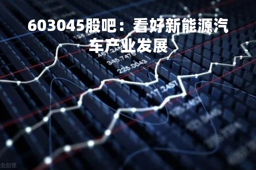603045股吧：看好新能源汽车产业发展