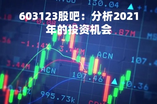603123股吧：分析2021年的投资机会