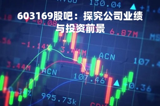 603169股吧：探究公司业绩与投资前景