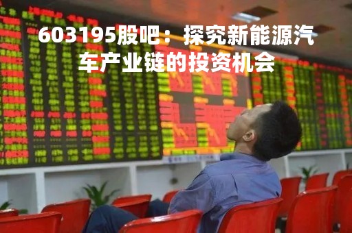 603195股吧：探究新能源汽车产业链的投资机会