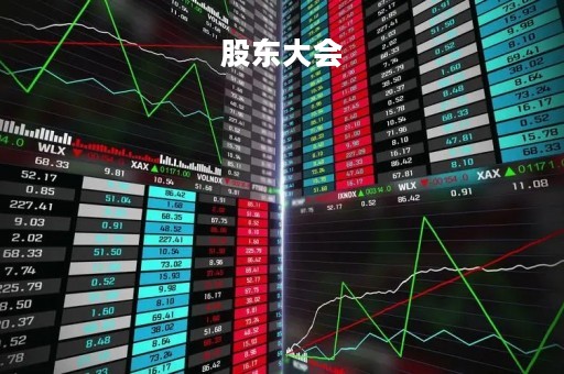 股东大会