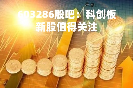 603286股吧：科创板新股值得关注
