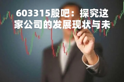 603315股吧：探究这家公司的发展现状与未来前景