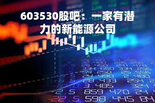 603530股吧：一家有潜力的新能源公司