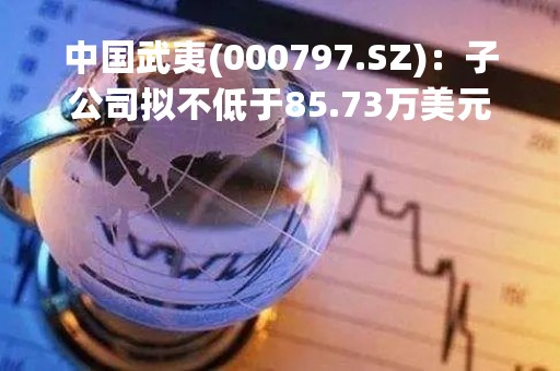 中国武夷(000797.SZ)：子公司拟不低于85.73万美元出售南苏丹营地资产