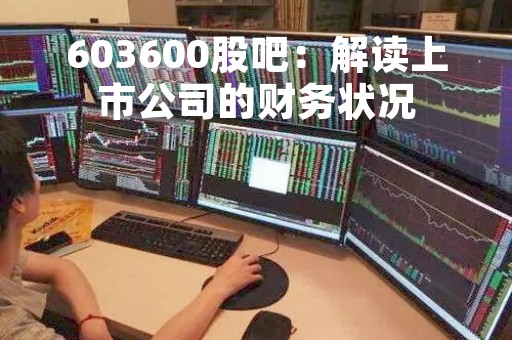 603600股吧：解读上市公司的财务状况